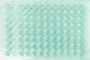 Test sierologici e Biologia molecolare per malattie infettive