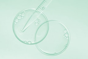 Analisi del Microbiota