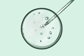 Animali non convenzionali