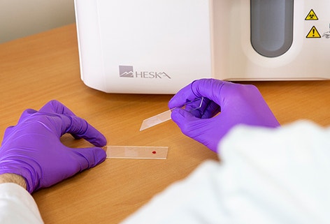 image HeskaView%20Telecytologie_secondary_2