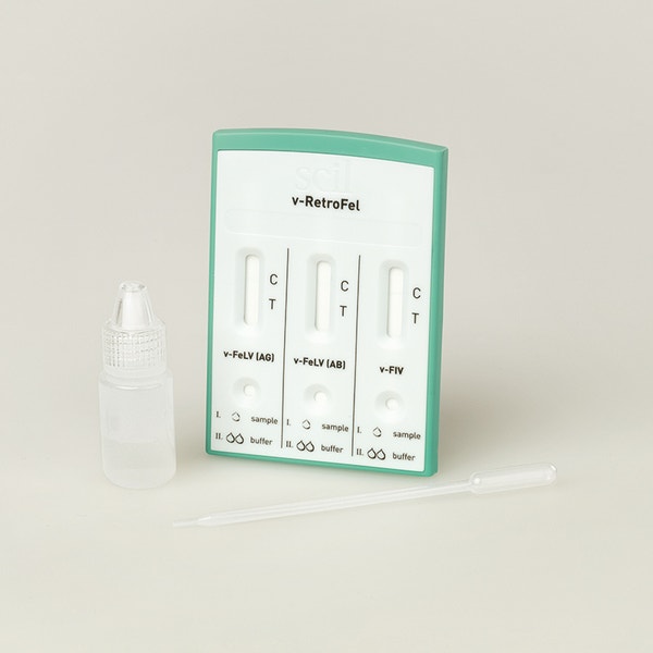 image scil-v-RetroFel_03